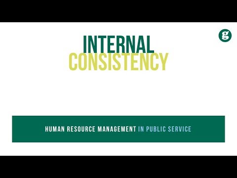 Human Resource Management in Public Service