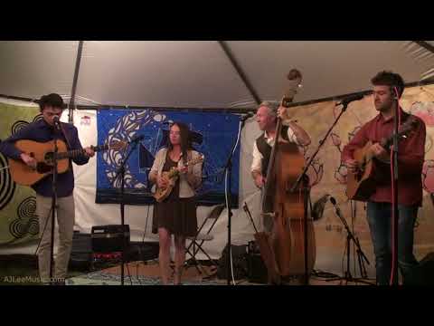 Bob Dylan - Meet Me in the Morning - Sullivan Tuttle