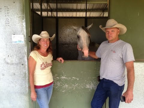 Arapahoe Park's Arabian Horse Stars
