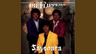 Sommernacht am Lago Maggiore