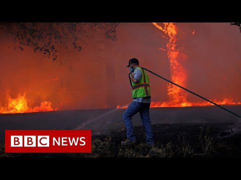 加州大火：超過140萬公頃的土地被燒燬 - BBC News (California fires: more than 1.4 million hectares burned - BBC News)