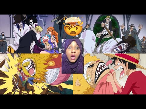 One Piece: Season 19 Episodes 764, 765 and 766 Reaction
