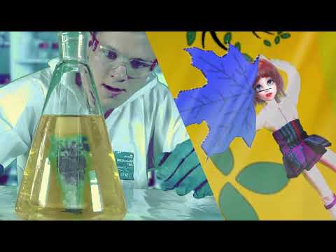 Dollyz Band - DOLLYZ BAND - Syntetica