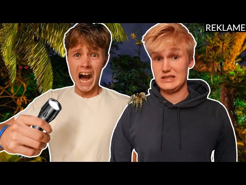 Amazonas regnskoven om natten...