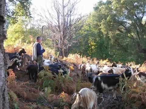 Corsica - L'Ile - 1996 - Michel Fugain et I Muvrini