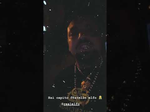 Niko pandetta litiga con elfo