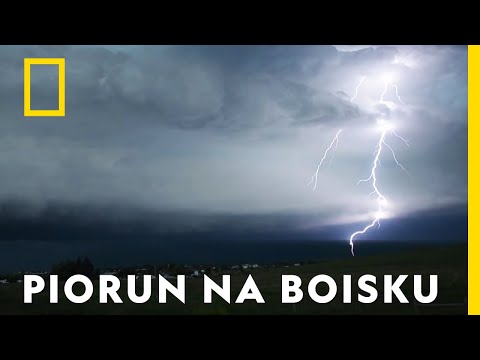 Podczas meczu piorun poraził kilku piłkarzy | Kataklizmy pogodowe