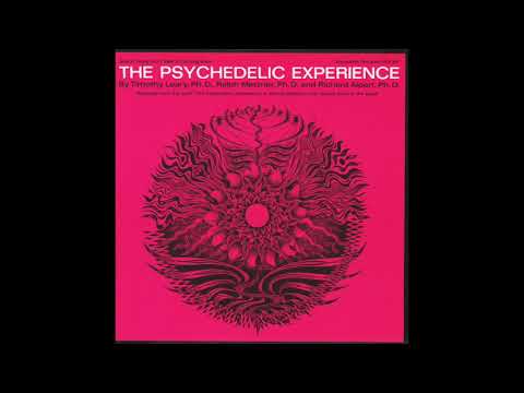 TIMOTHY LEARY THE PSYCHEDELIC EXPERIENCE RECORD LP