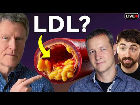 Is High Cholesterol Clogging your Arteries: NEW Evidence (ft. Dave Feldman & Nick Norwitz)