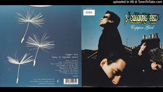 3 Colours Red - Sunny In England (Live at Wulfrun Hall, Wolverhampton, 7th May 1997)