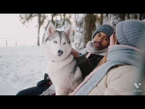 heart touching rabab symphony pushto rabab tha bast rabab very beautiful dogs training