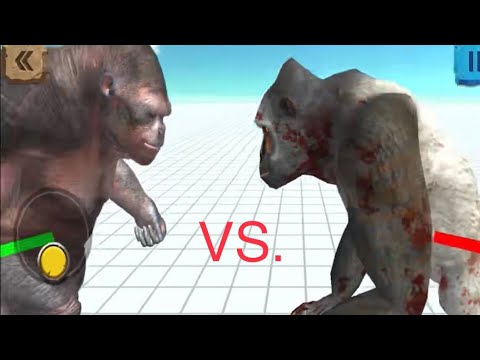 New Goro skin vs old Goro skin ARBS