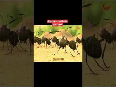 Red ants vs siafu part one