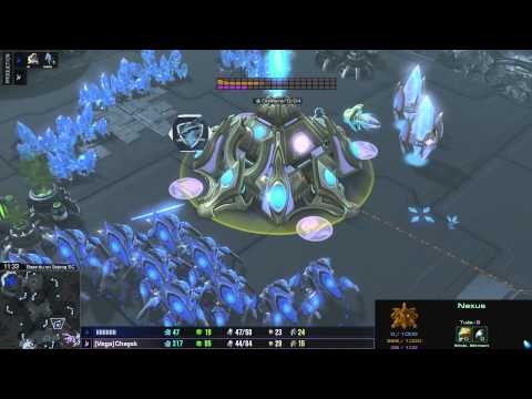 (HD971) Batonnets vs Chayok - PvP - Heart of the Swarm [FR]
