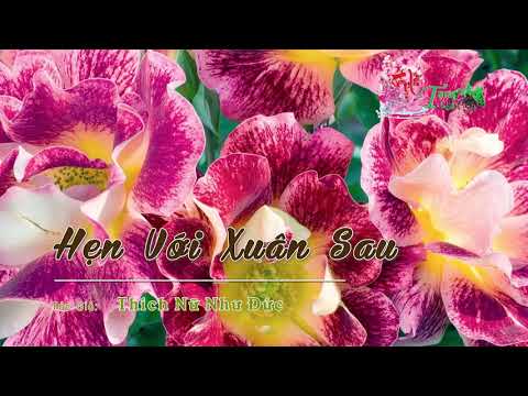 Hẹn Với Xuân Sau