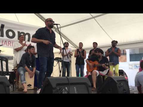 Joselete de Musho Gitano por bulerias en la Feria de día de Arroyo de la Miel 2015