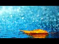 جرب سماع القرآن مع أصوات المطر - Quran With Rain Sounds Amazing mp3