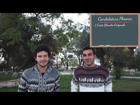 Phoenix Forest recrute!