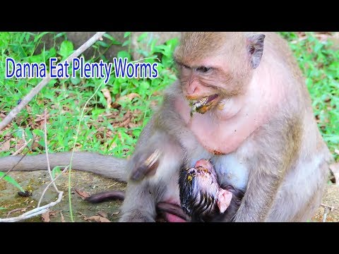 OMG Mama Danna Eating Plenty Worn Looking So Hungry