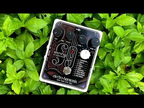 Electro Harmonix [Autumn SUPER SALE] STRING9 [STRING ENSEMBLE] Strings Electro-Harmonix image 3