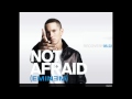 Eminem - Not Afraid violin cover 