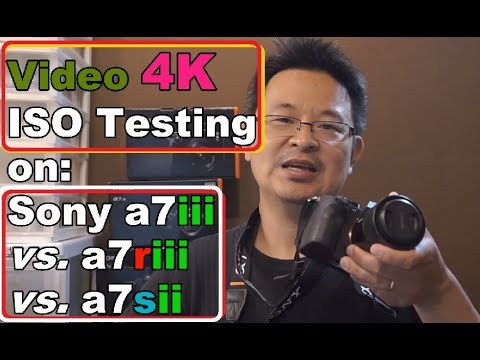 4k video ISO test comparison for Sony a7iii vs. a7riii vs. a7sii cameras