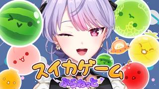 【スイカゲームぷらねっと】まったりスイカを作る昼🍉🍉🍉【にじさんじ/梢桃音】