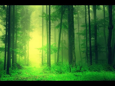 Relaxing Sleep Music 24/7: Deep Sleeping Music, Beat Insomnia, Relaxing Music, Sleep Meditation