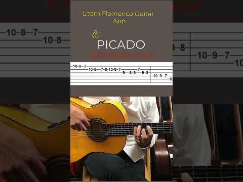 PICADO FLAMENCO SCALE RUN