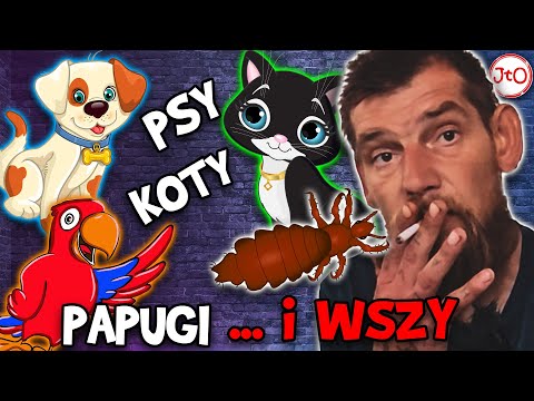 IROKEZ - Miałem, psy, koty, papugi i WSZY!