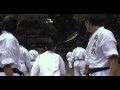 High Kick Girl - 2009 Female Girl Kung-Fu Martial Arts Movie 