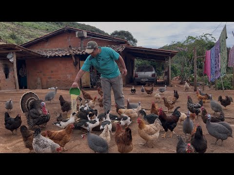 INTERIOR DE MINAS GERAIS, VENHA CONHECER A FARTURA E UNIÃO DESSA FAMILIA EM MALACACHETA.