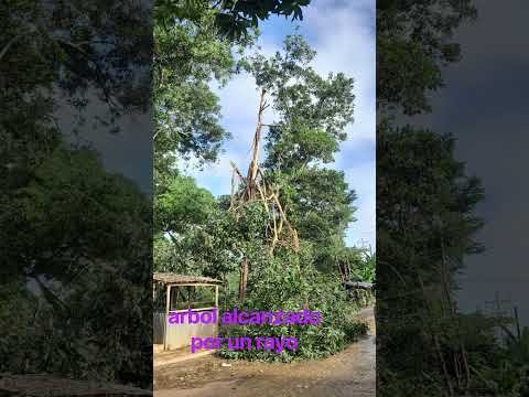 Desde el municipio  de El Bagre Antioquia