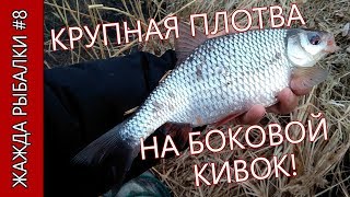 Ловля плотвы осенью на боковой кивок