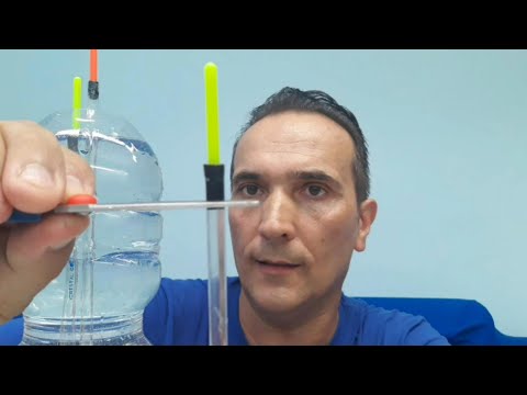 Bolognese e Spigole, la Lenza Ultraleggera a tutto Svolazzo...