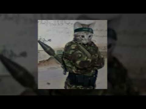 Salam 1996 (slowed + reverb)