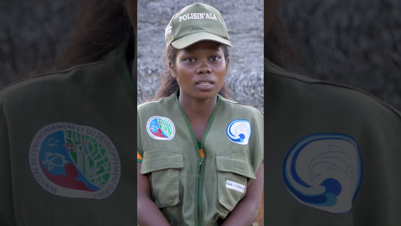 Madagascar's mangrove defenders work to root out illegal deforestation