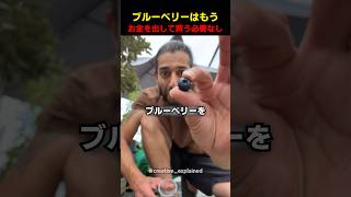 ブルーベリーはもうお金を出して買う必要なし