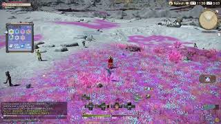 身内向けFF14