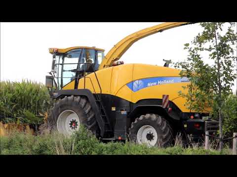 Maïs hakselen met nh FR9060