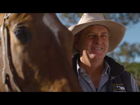 MEET JOHN A BEEF CATTLE FARMER | Meet a Farmer w/ Sammie O'Brien