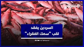 السردين يفقد لقب “سمك الفقراء”.. الندرة والطلب الكبير ترفع أثمنة السردين في الأسواق thumbnail