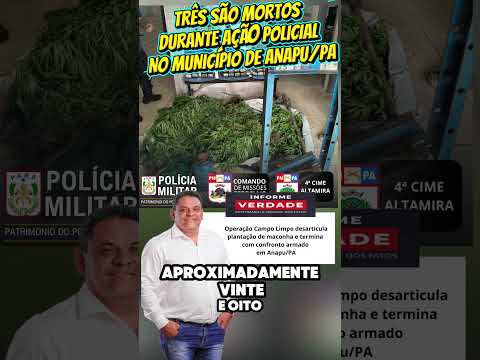 Operação desarticula plantação de maconha e termina com confronto armado em Anapu  #viral