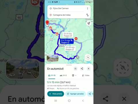Pijiño Del Carmen Magdalena-Cartagena.💯🇨🇴
