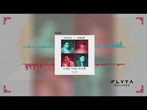 Trouze x Derrick Hoh (何維健) - Like You (中文版 / Chinese Version) (Official Audio)