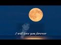 Tonight My Love Tonight  (1961)  -  PAUL ANKA  -  Lyrics