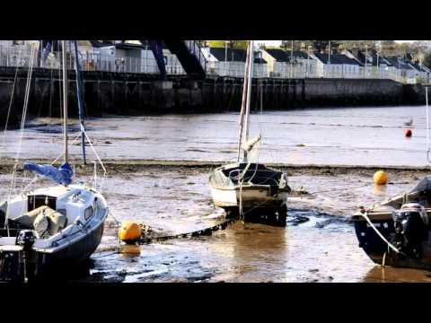 Pawcut & Katharsis - Sommer