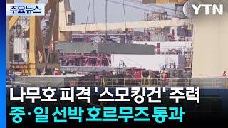 나무호 피격 '스모킹건' 주력...중·일 선박 호르무즈 통과 / YTN