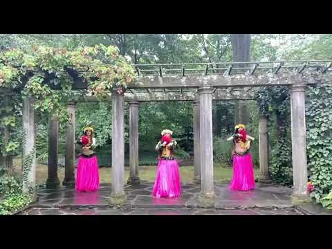 Promotional video thumbnail 14 for Mio Dance Entertainment