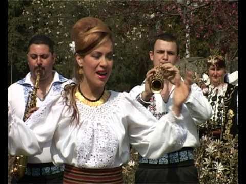 download lagu mp3 mp4 Cu Ce M Am Ales In Viata, download lagu Cu Ce M Am Ales In Viata gratis, unduh video klip Cu Ce M Am Ales In Viata